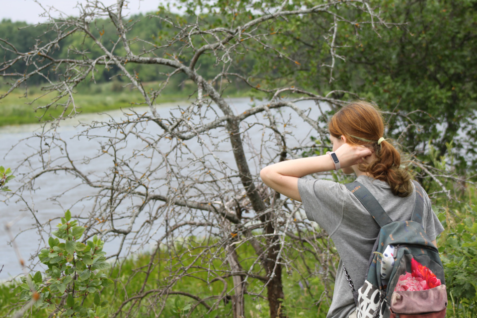 Сковородино