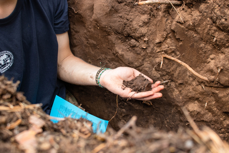 Работа в почвенном разрезе