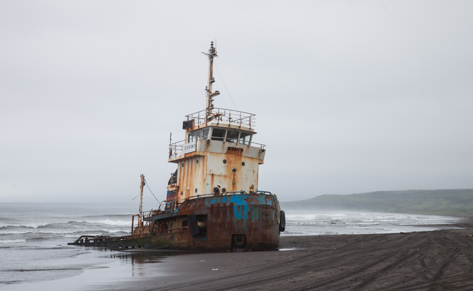 Ксения Гущина