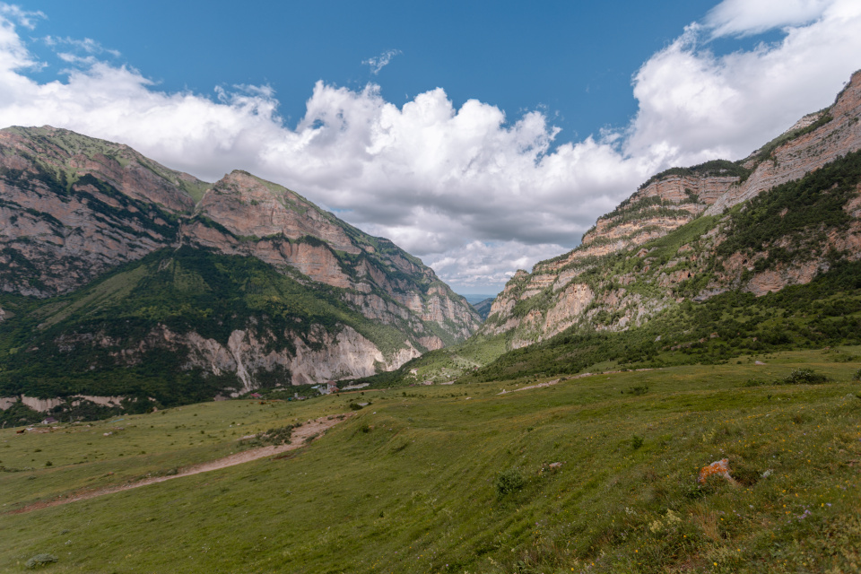 Ксения Гасица