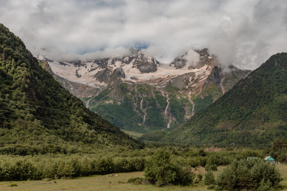 Ксения Гасица