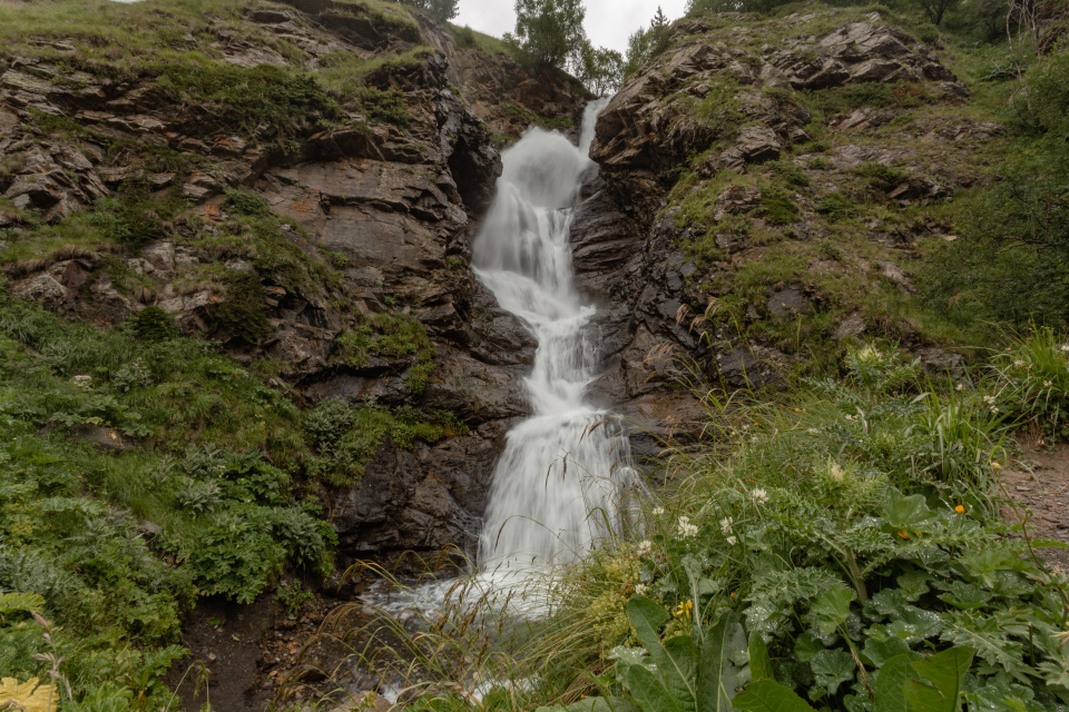 Ксения Гасица