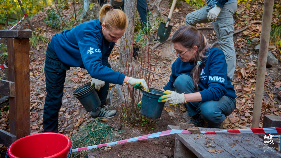 Максим Курапов