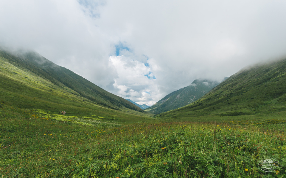 Ксения Гасица 