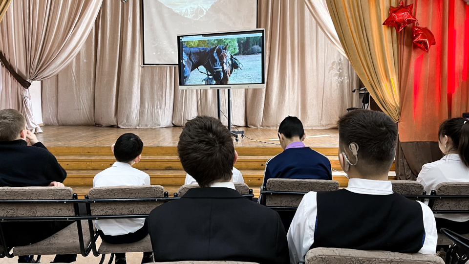 Чемпионат ОВЗ