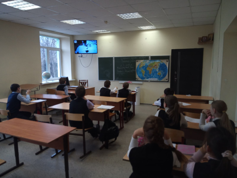 Просмотр фильма о снежном барсе