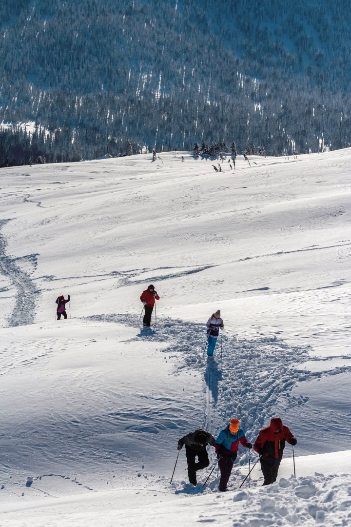 МК РГО на базе НФИ КемГУ (г. Новокузнецк) МК РГО на базе НФИ КемГУ (г. Новокузнецк)