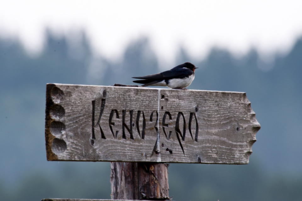 Кенозерово