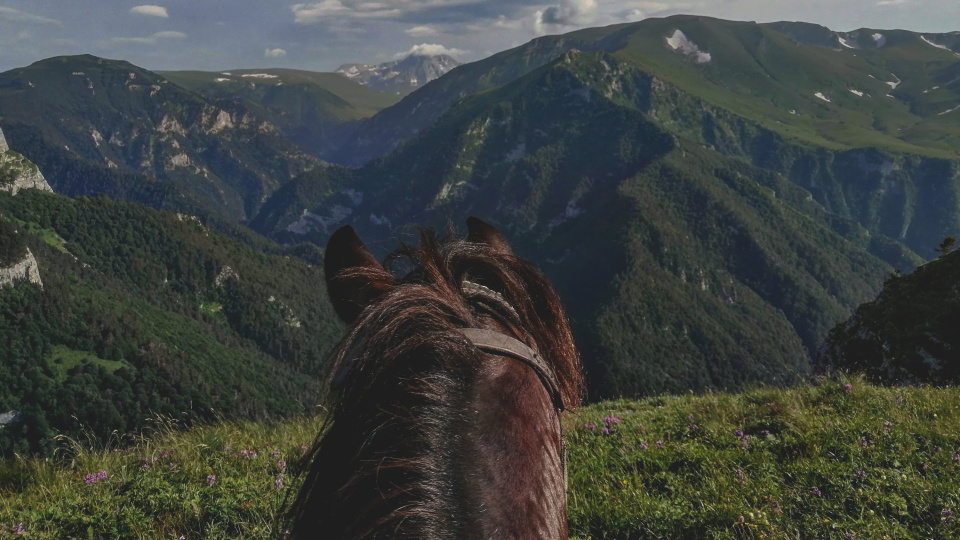 Дарья Корнюхина, участница фотоконкурса РГО "Самая красивая страна"