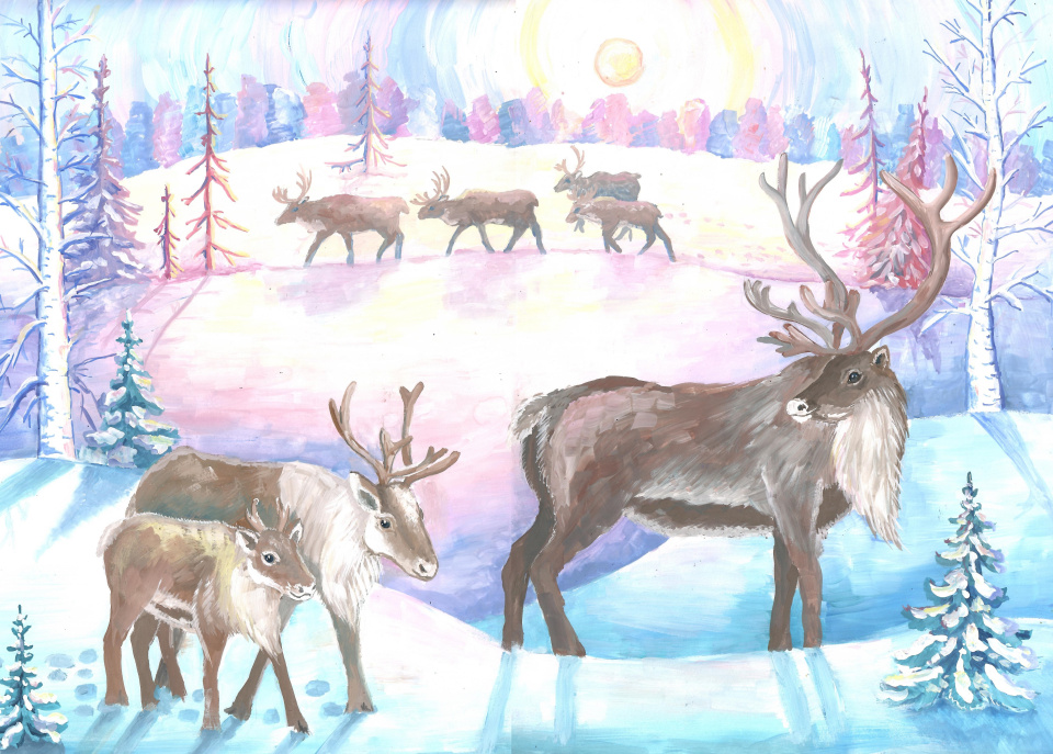 Дикий северный олень