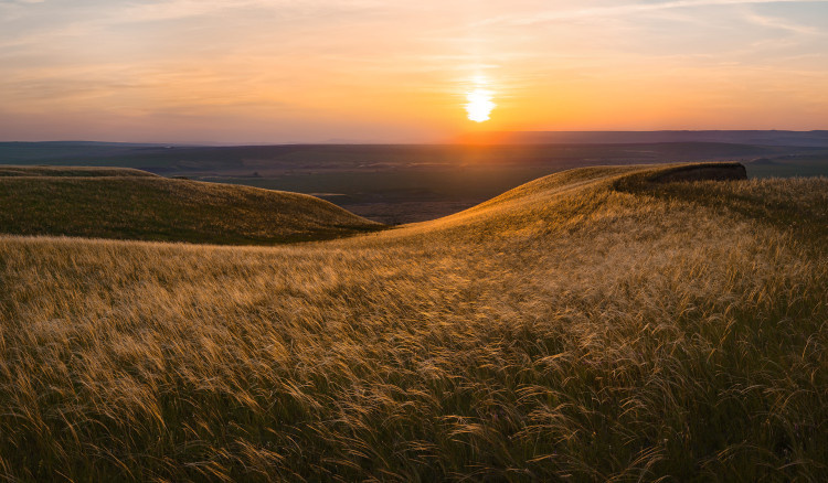 Фёдор Лашков, участник фотоконкурса РГО "Самая красивая страна"