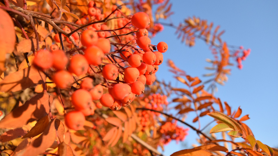 Олеся Шурухина, участница фотоконкурса РГО "Самая красивая страна"