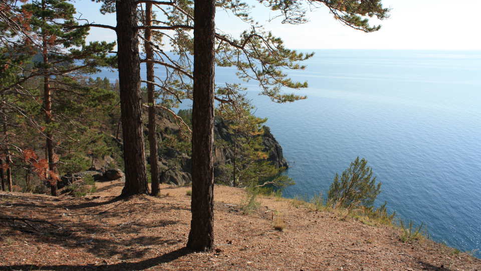 Елена Жирнова, участница фотоконкурса "Самая красивая страна" 