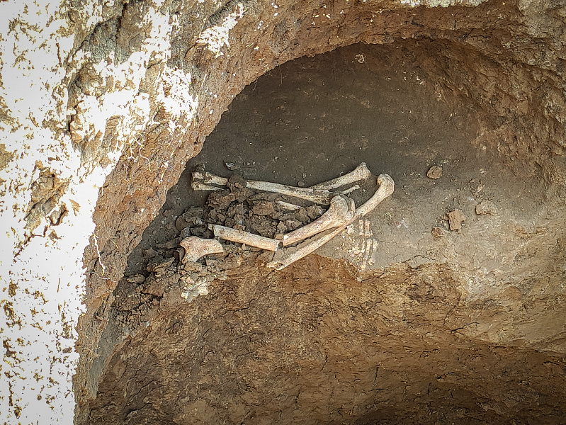 Автор: Наталья Давыдова