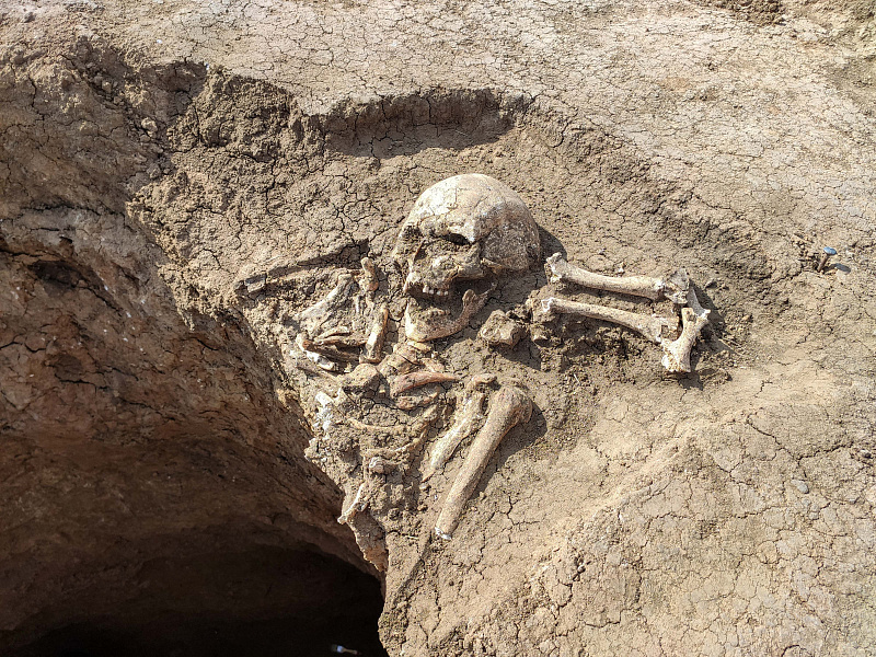 Автор: Наталья Давыдова