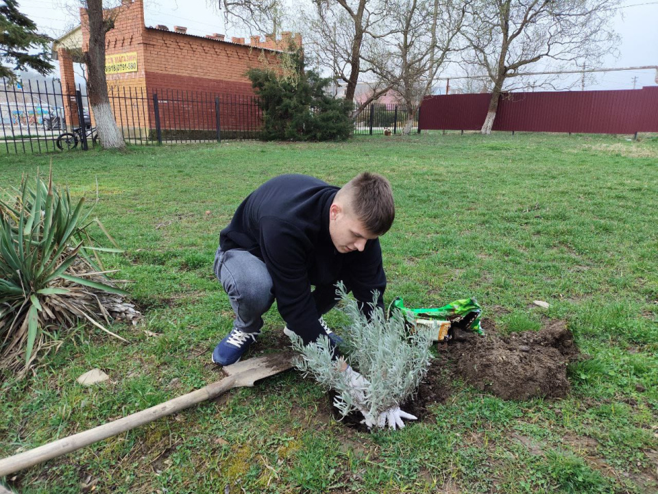 Научные исследования