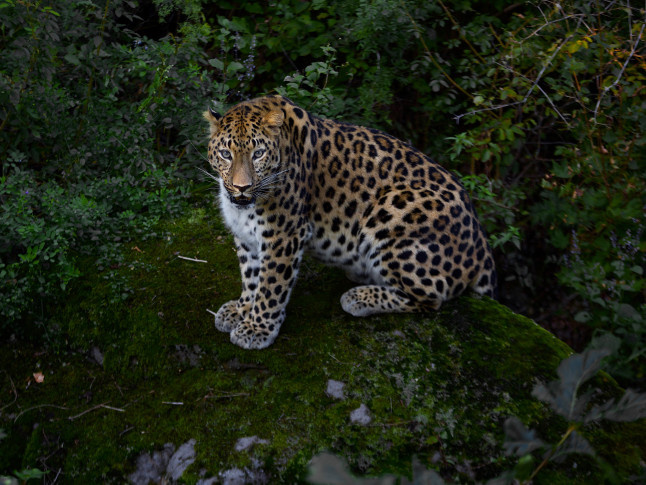 Евгений Мазурин, участник фотоконкурса РГО "Самая красивая страна"