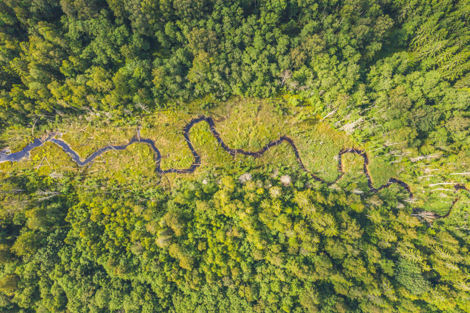 Приток Двины