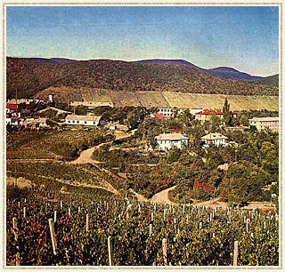 Заседание клуба Новороссийск Заседание клуба Новороссийск