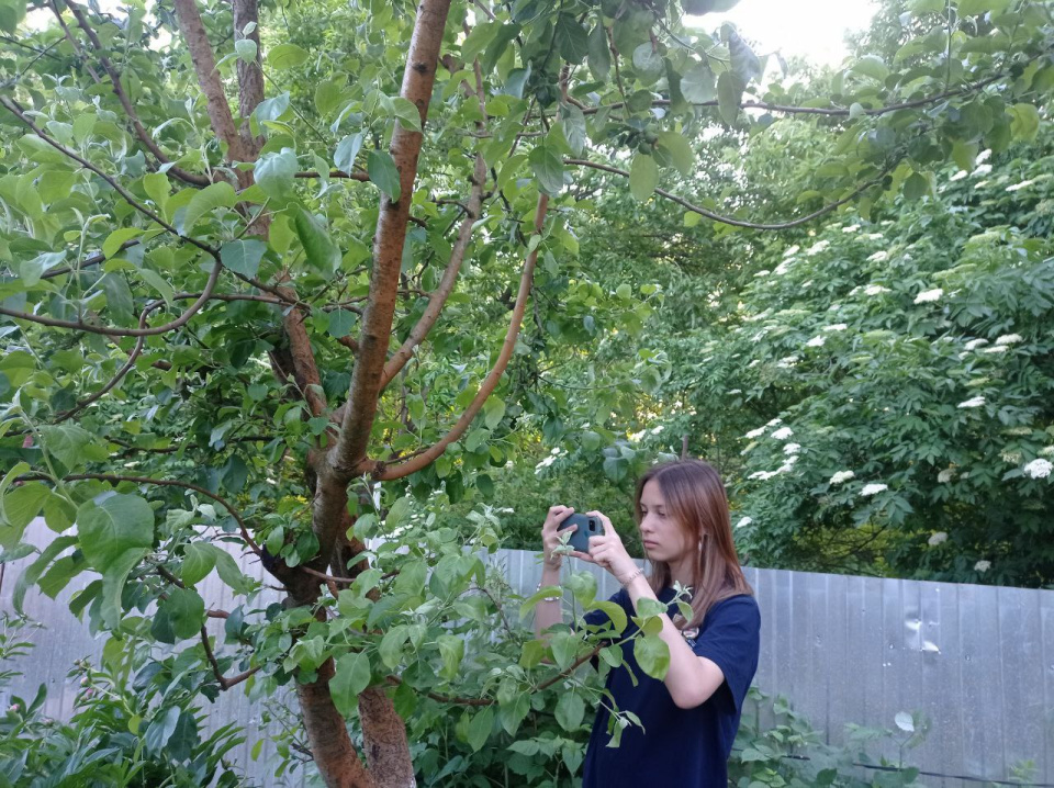 Наблюдение