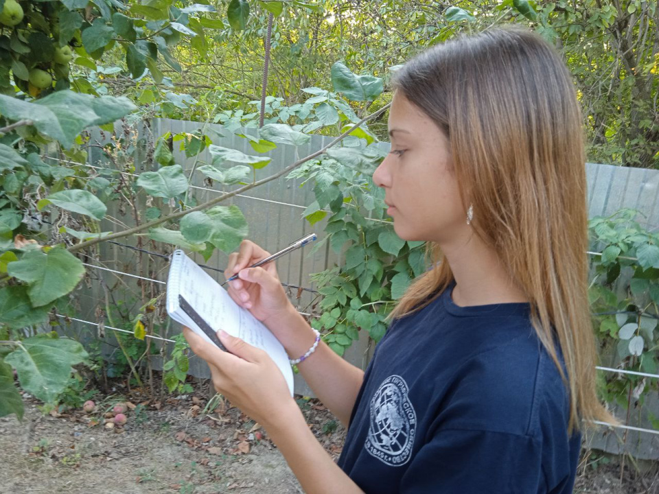 Фенолог проводит исследование