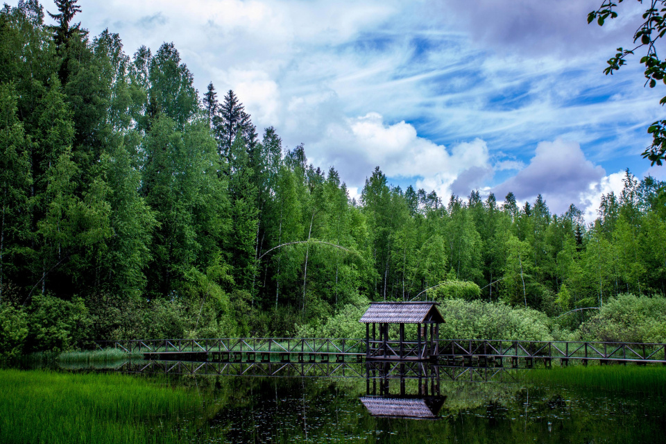 Волонтерская школа