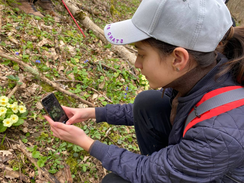 Активисты клуба проводят наблюдения