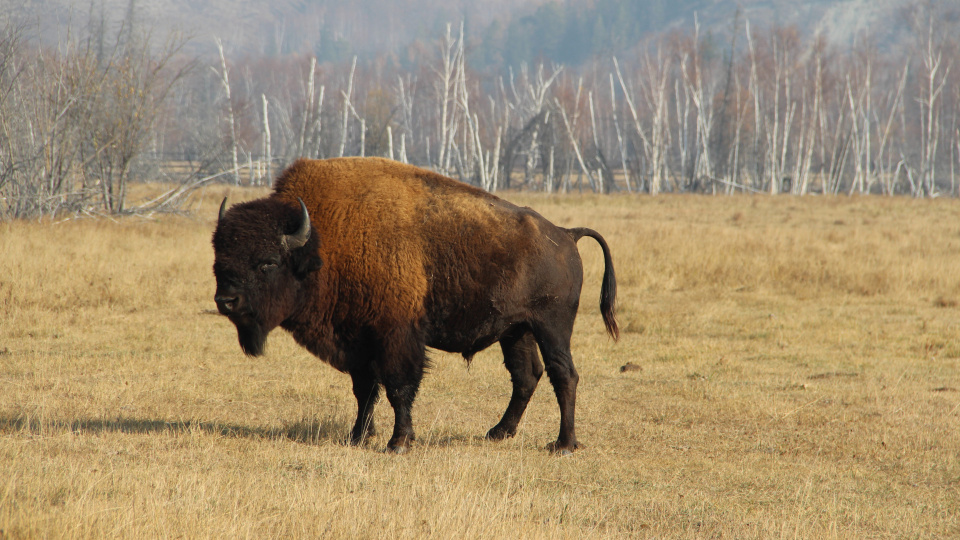 Галина Хорева, участница фотоконкурса РГО "Самая красивая страна"