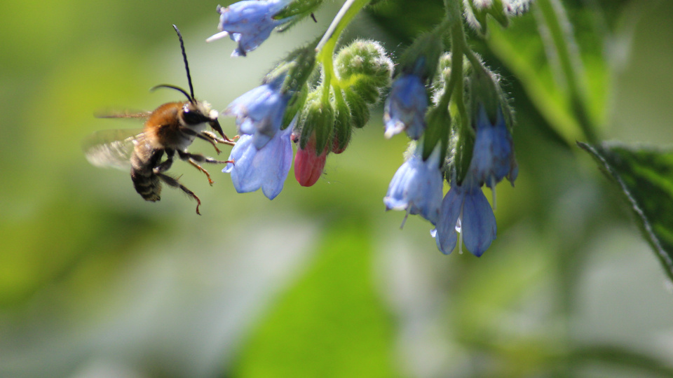 Юлия Святова, участница фотоконкурса РГО "Самая красивая страна"