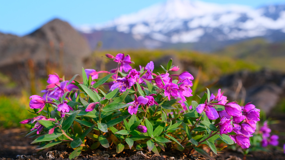 Антон Тананыкин, участник фотоконкурса РГО "Самая красивая страна"