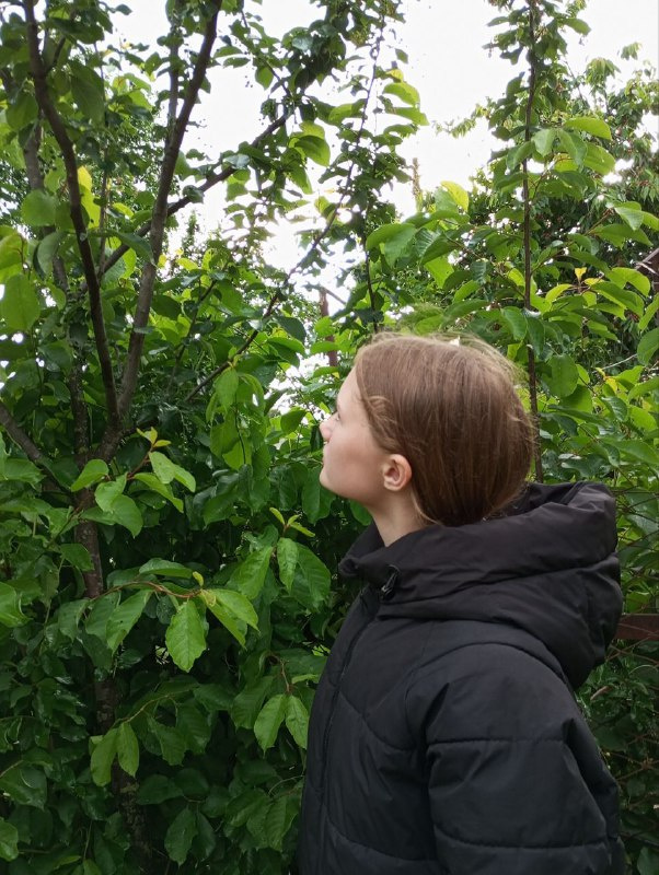 Наблюдения