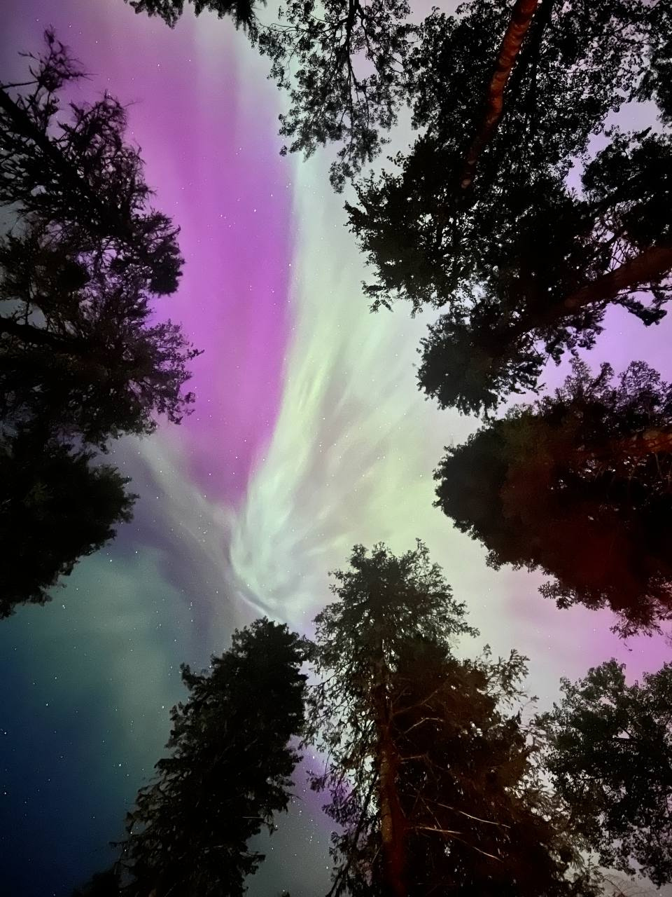 Салман Джумагазиев 