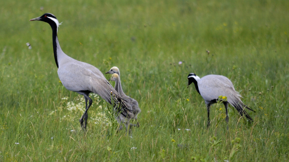 Владимир Рыбин, участник фотоконкурса РГО "Самая красивая страна"