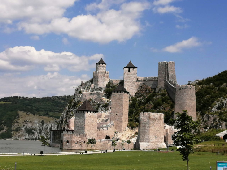 Стажировка в Сербии