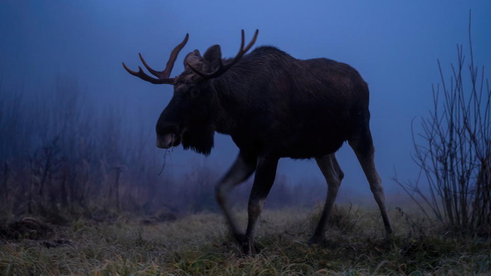 Ирина Соловьева, участница фотоконкурса РГО "Самая красивая страна"