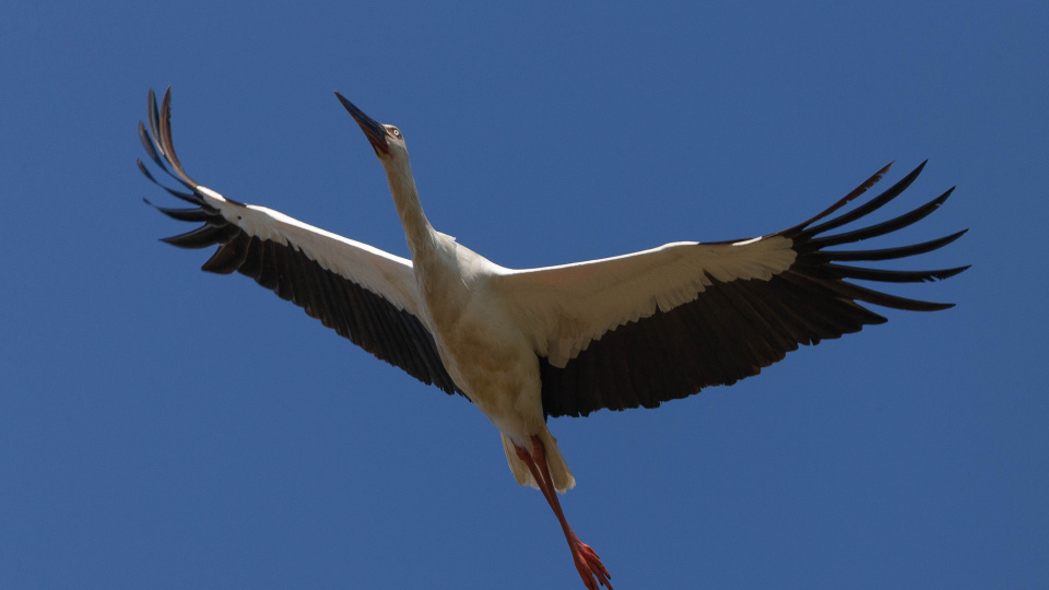 Павел Петрушин, участник фотоконкурса РГО "Самая красивая страна"