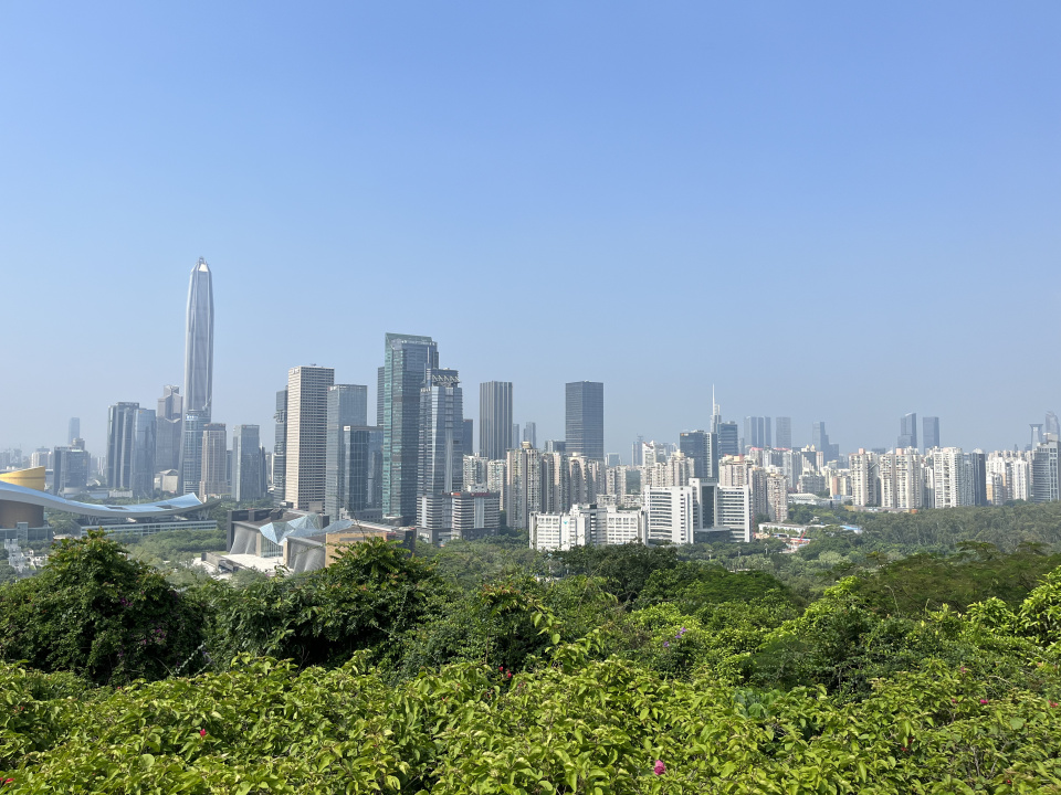 Светлана Воробьева