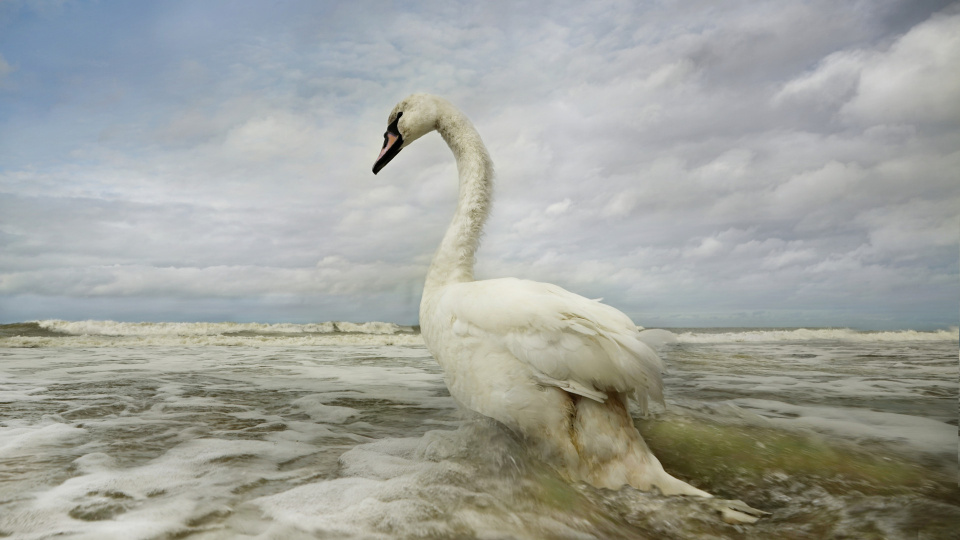 Сергей Тырышкин, участник фотоконкурса РГО "Самая красивая страна"