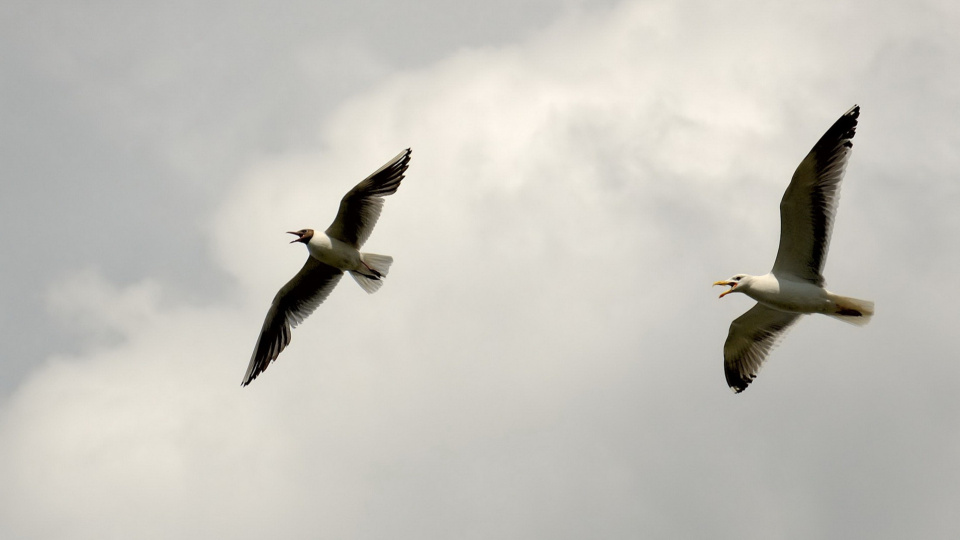 Владимир Бутаков, участник фотоконкурса РГО "Самая красивая страна"