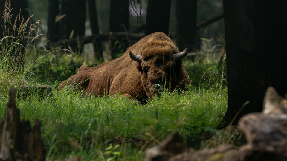 А. Егорова, участница фотоконкурса РГО "Самая красивая страна"