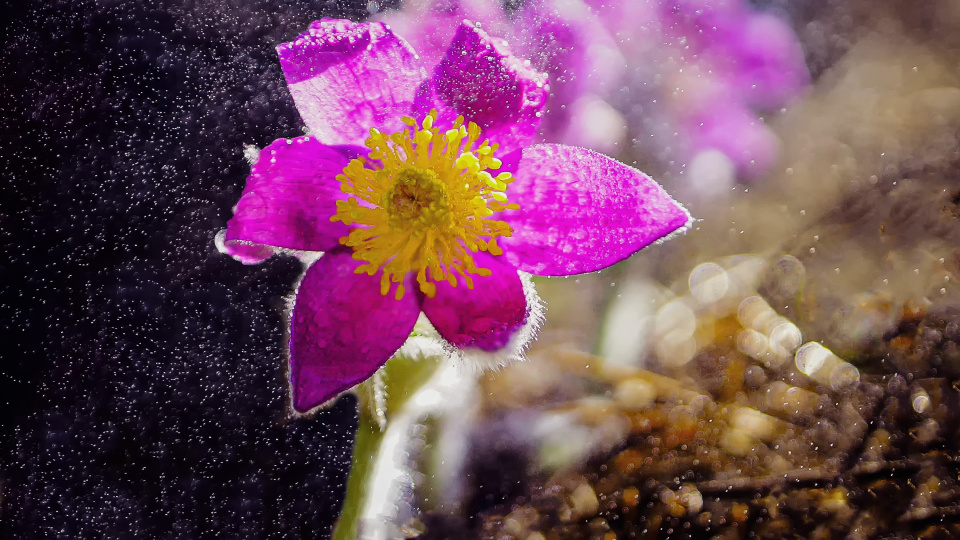 Михаил Корнев, участник фотоконкурса РГО "Самая красивая страна"