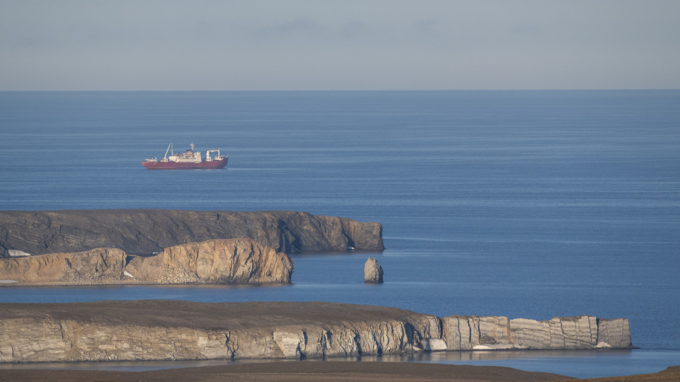 Виталий Новиков