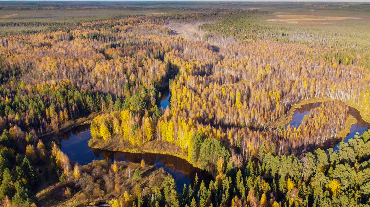 Дарья Штейникова, участник фотоконкурса РГО "Самая красивая страна"