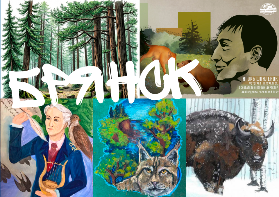 Работы финалистов