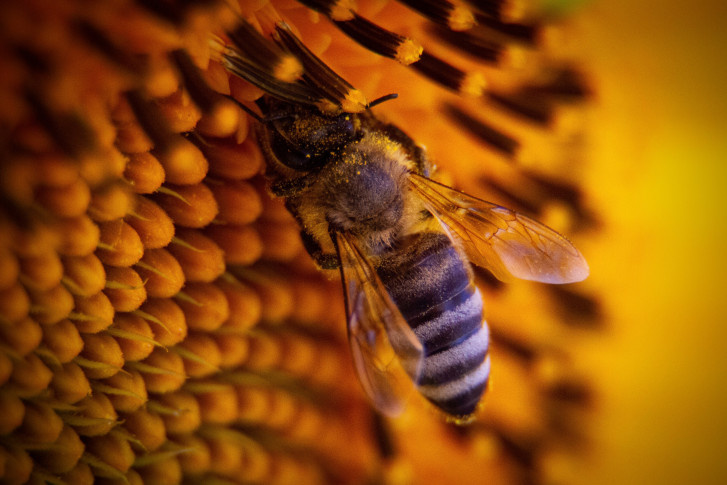 Полина Германова, участник фотоконкурса РГО "Самая красивая страна"