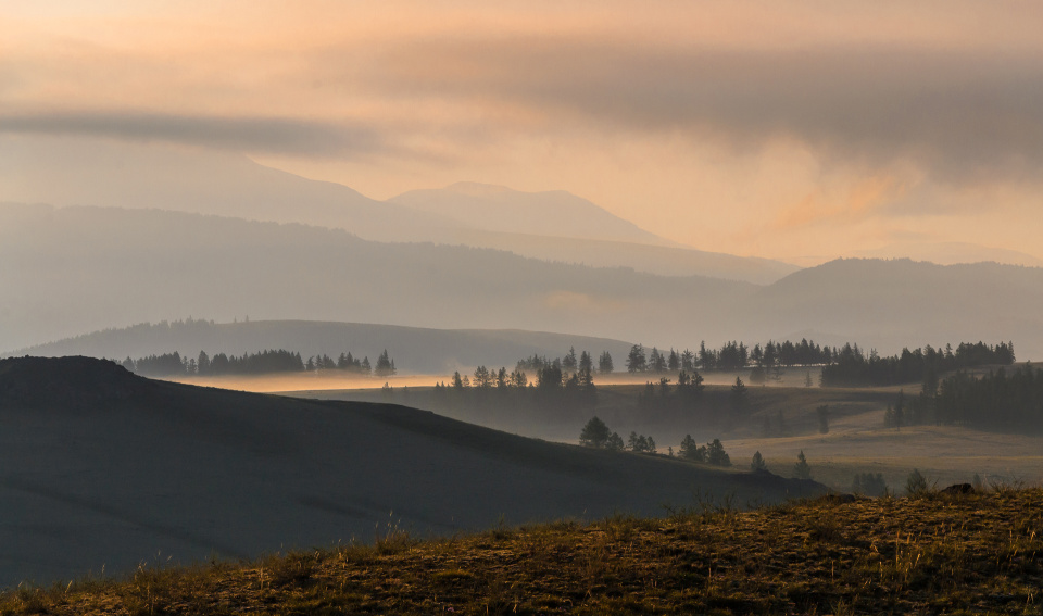 Курай на рассвете