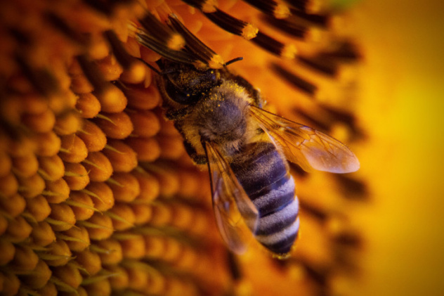 Полина Германова, участник фотоконкурса РГО "Самая красивая страна"