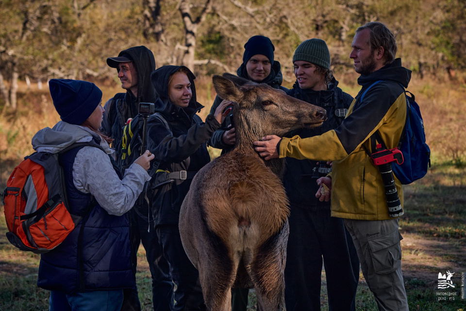 Максим Курапов