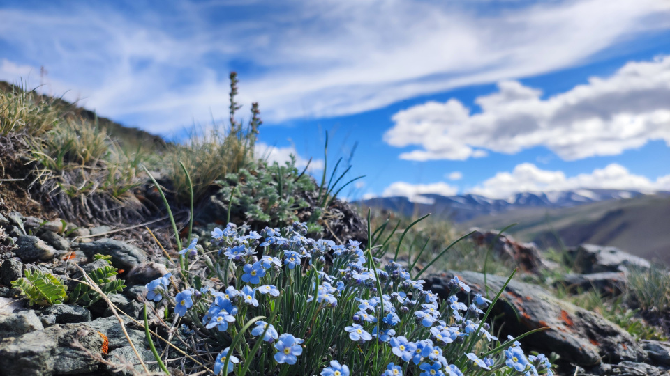 Андрей Булгаков, участник фотоконкурса РГО "Самая красивая страна"