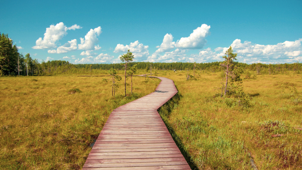 Ольга Мелещенко 